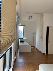 Tanglin View (D3), Condominium #217420801